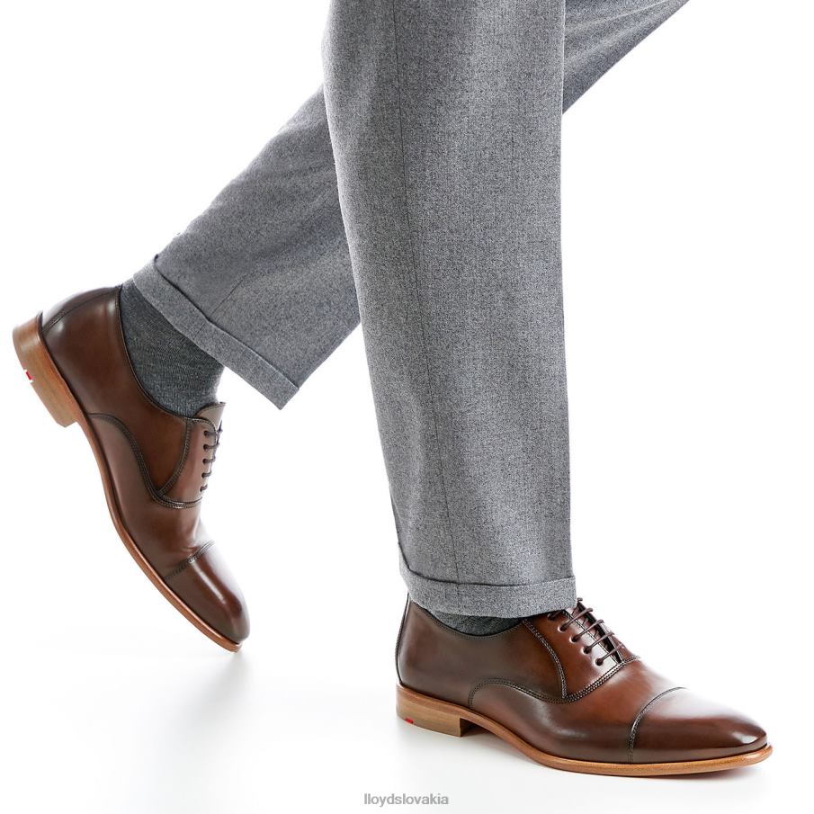 LLOYD parcas muži topánky hnedá 6R0JN156