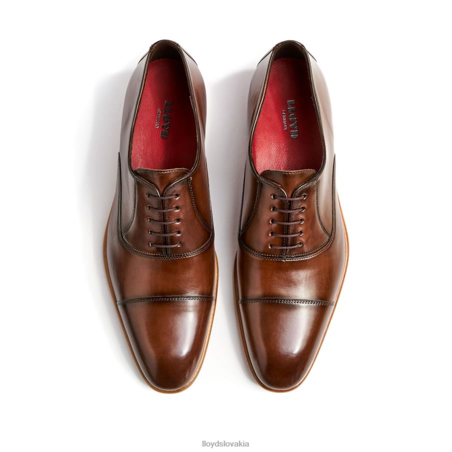 LLOYD parcas muži topánky hnedá 6R0JN156
