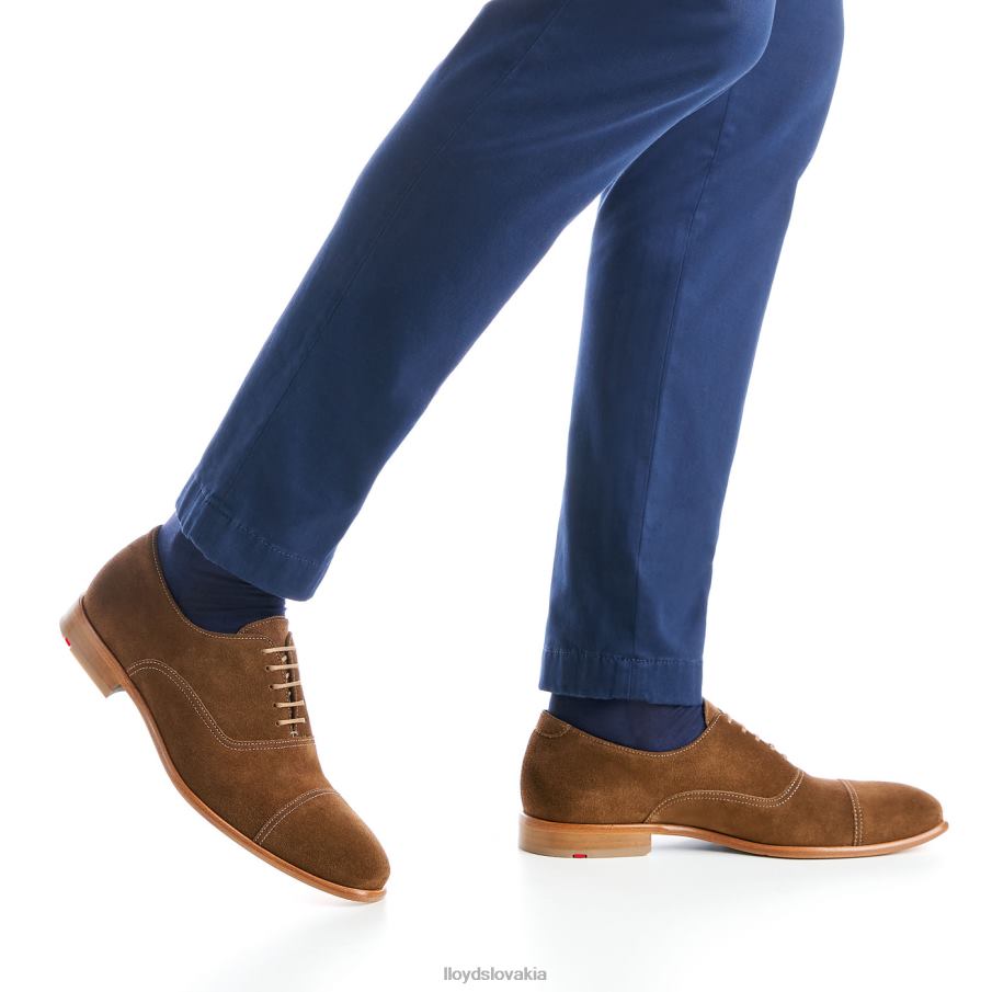 LLOYD rando muži topánky hnedá 6R0JN231