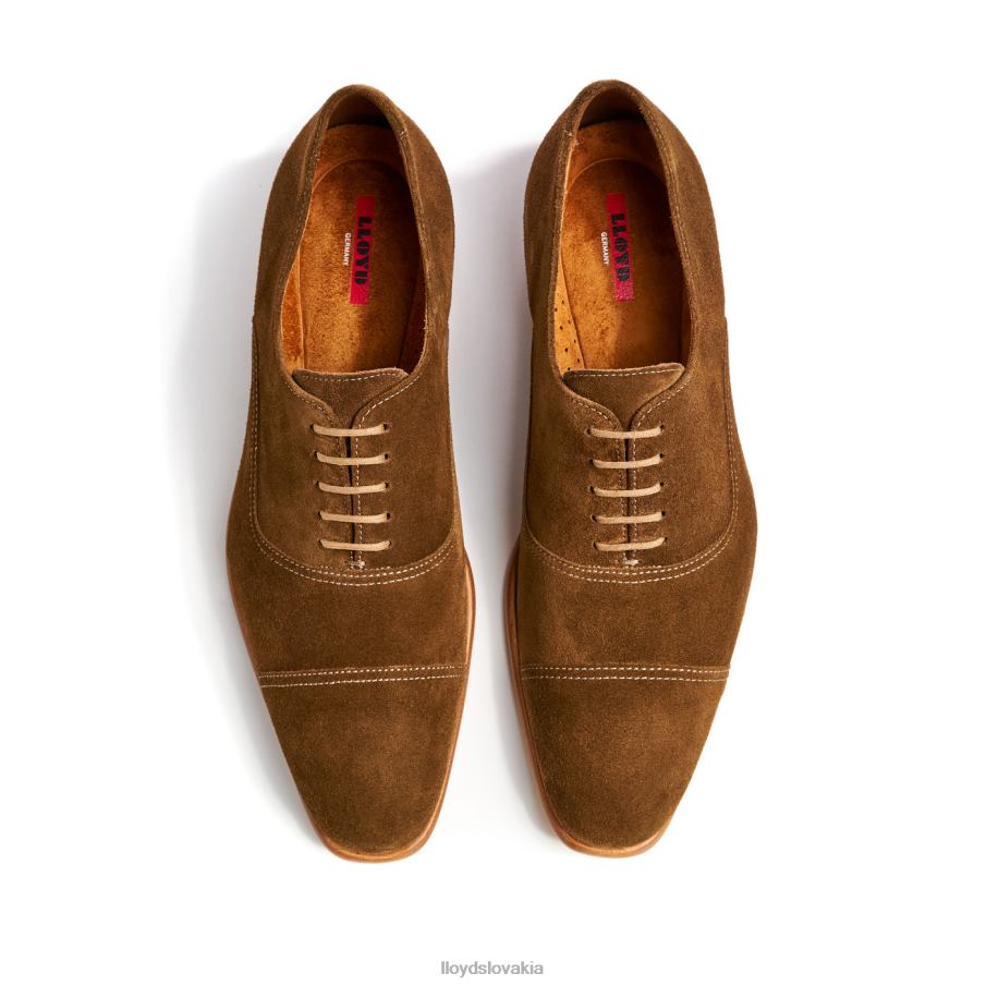 LLOYD rando muži topánky hnedá 6R0JN231