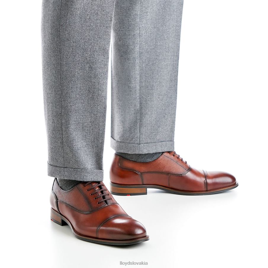 LLOYD santiago muži topánky hnedá 6R0JN238