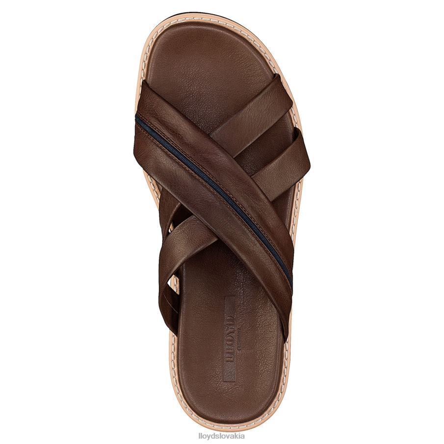 LLOYD edvino muži topánky hnedá 6R0JN584