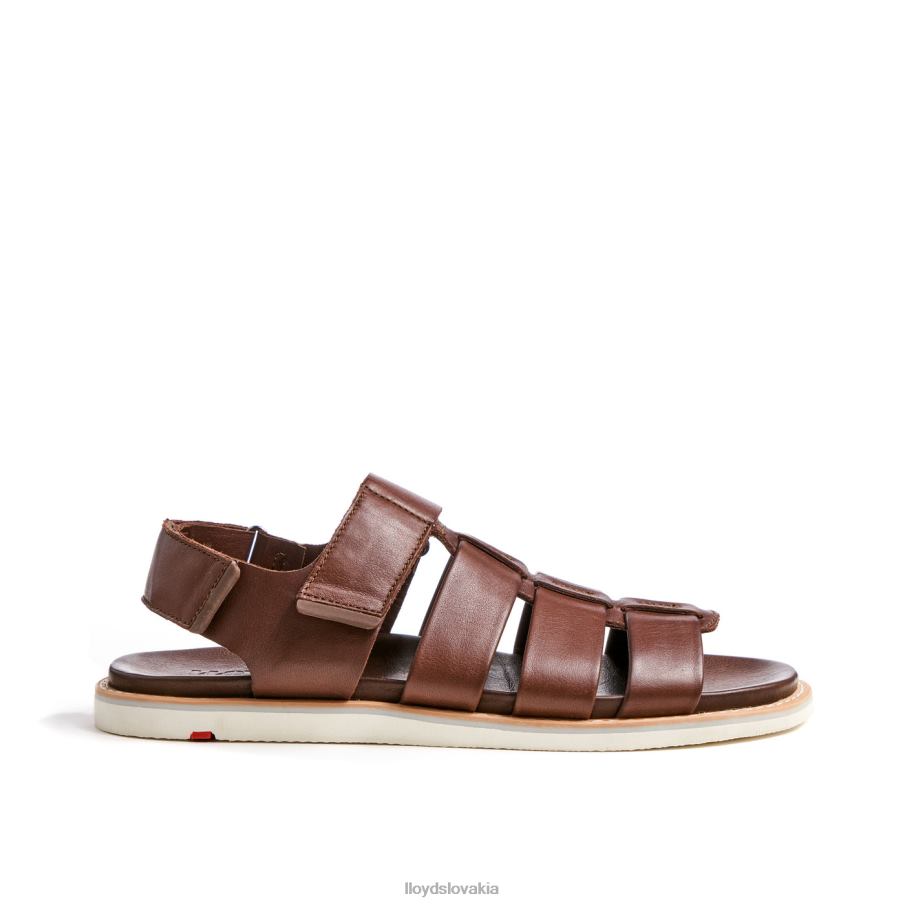 LLOYD elimar muži topánky hnedá 6R0JN583