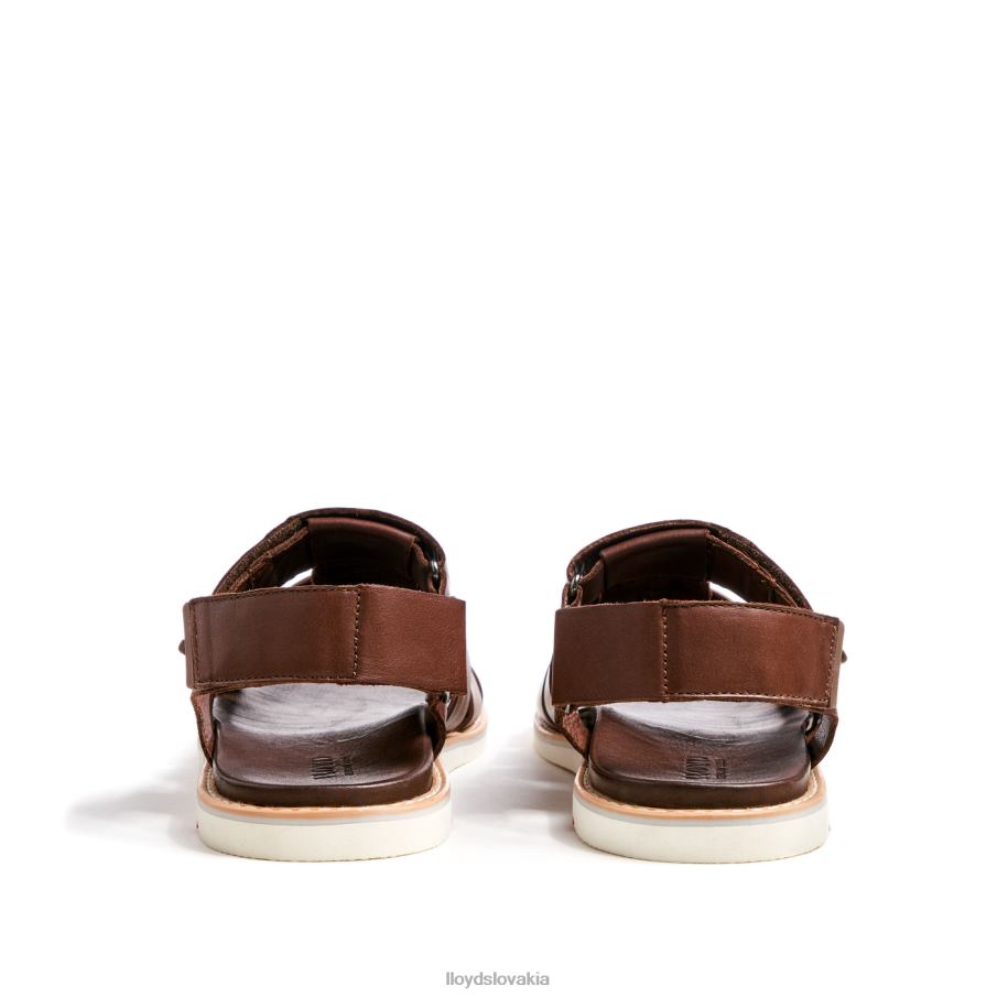 LLOYD elimar muži topánky hnedá 6R0JN583