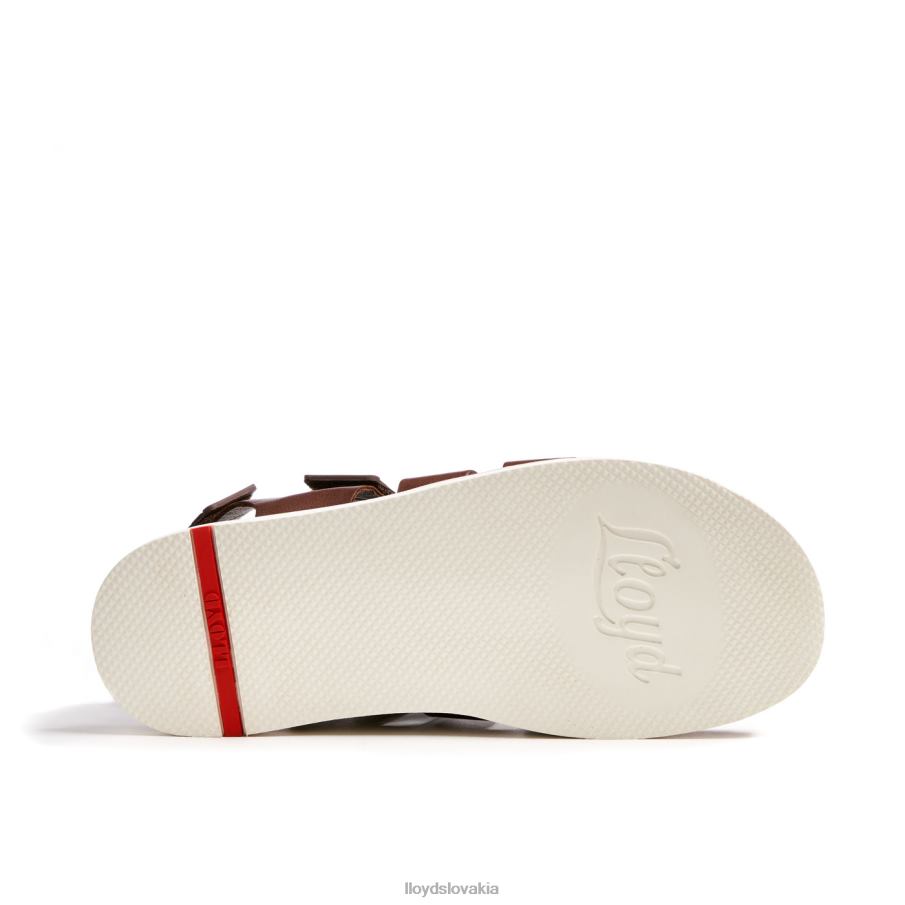 LLOYD elimar muži topánky hnedá 6R0JN583