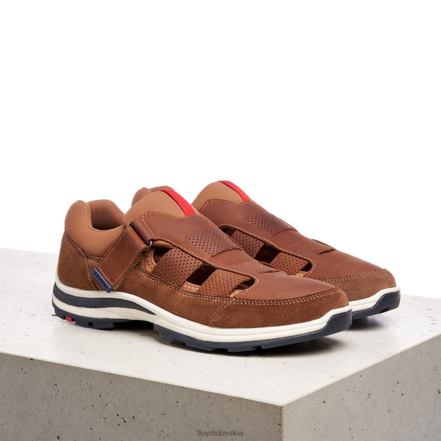 LLOYD elrado muži topánky hnedá 6R0JN625