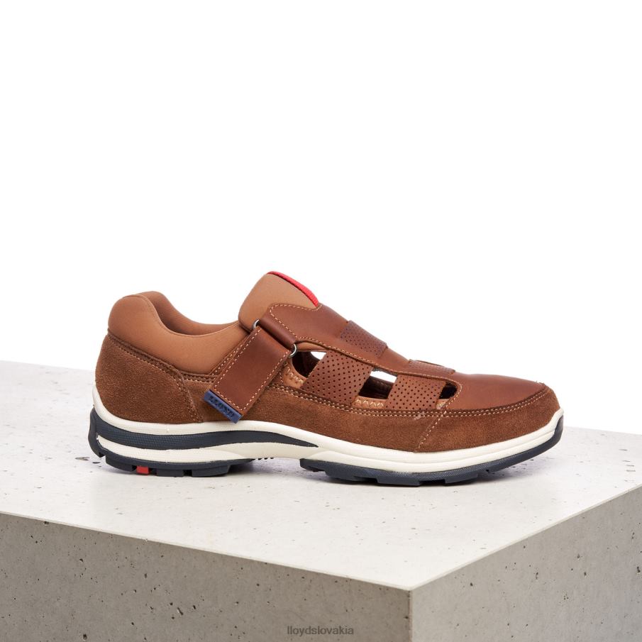 LLOYD elrado muži topánky hnedá 6R0JN625