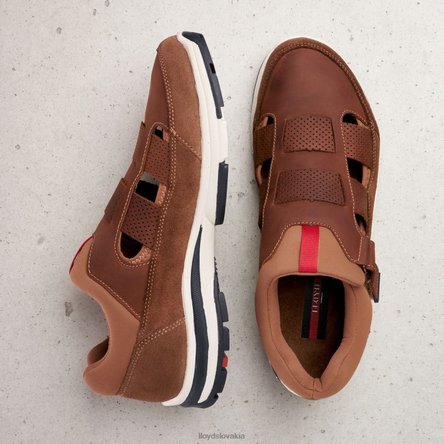 LLOYD elrado muži topánky hnedá 6R0JN625