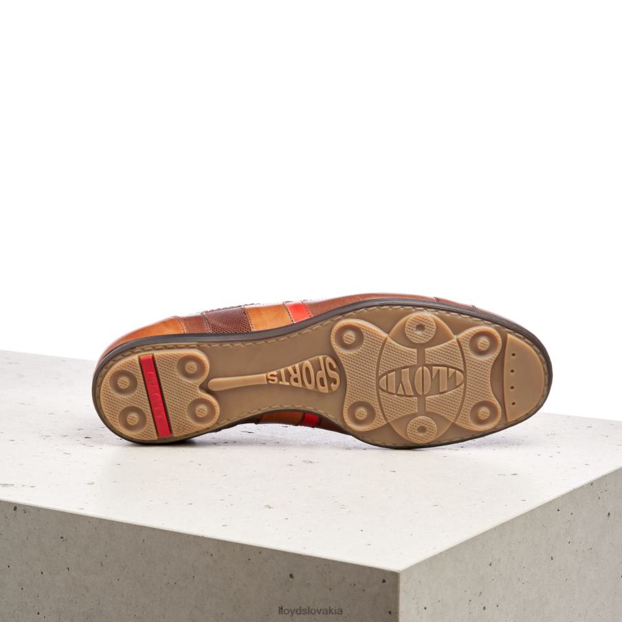 LLOYD Benson muži topánky hnedá 6R0JN439