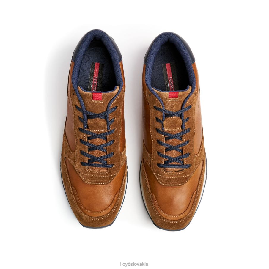LLOYD Edmond muži topánky hnedá 6R0JN310