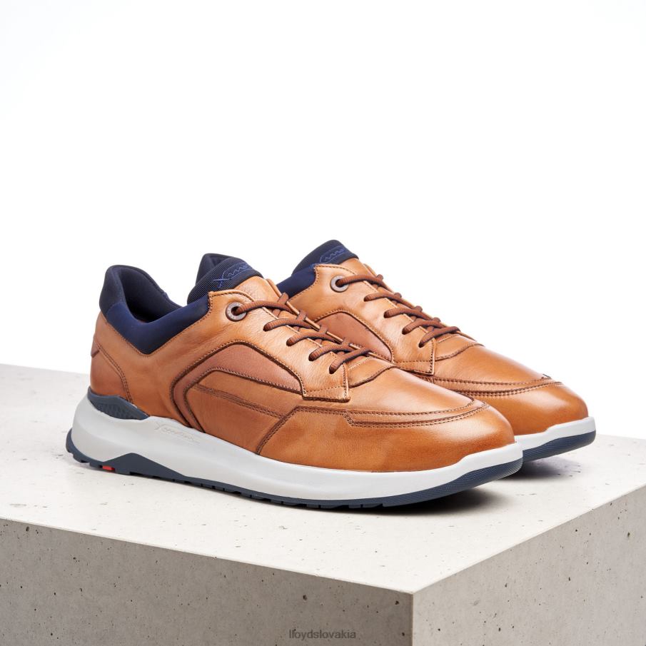 LLOYD Memphis muži topánky hnedá 6R0JN1328