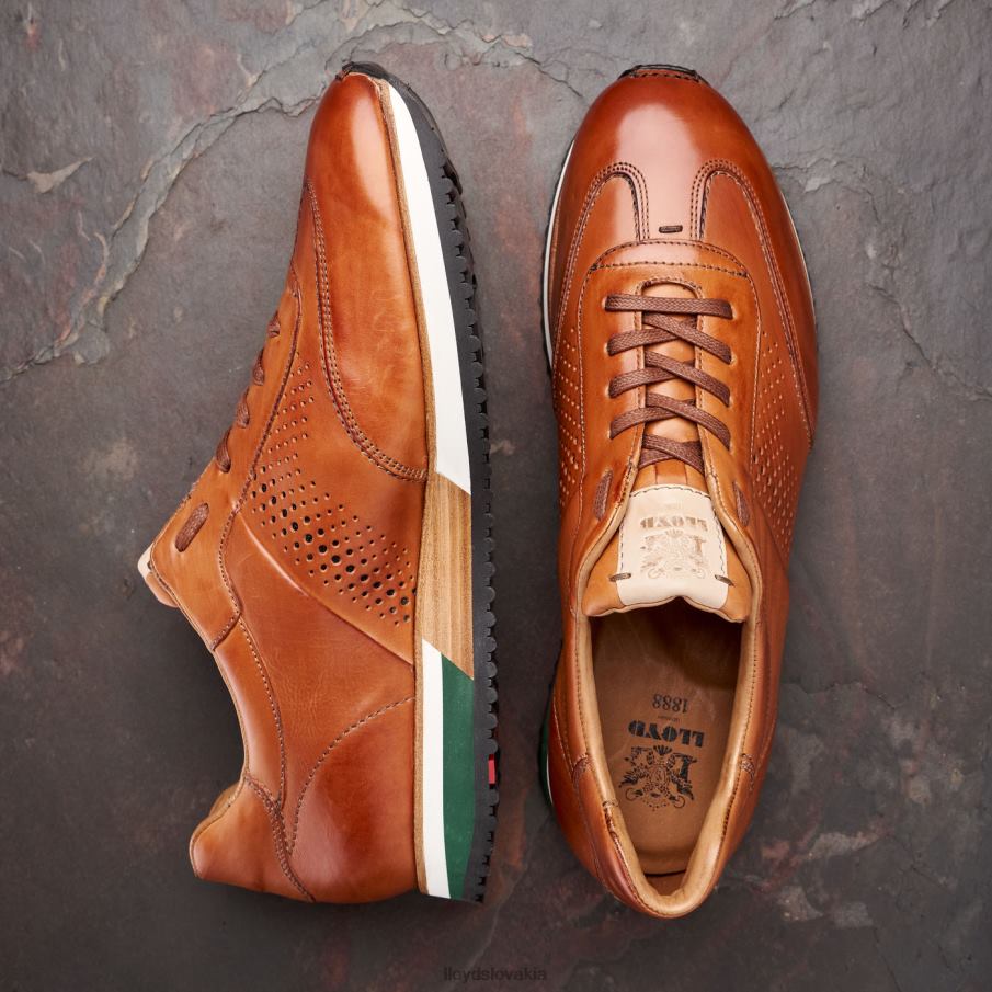 LLOYD Walcott muži topánky hnedá 6R0JN180