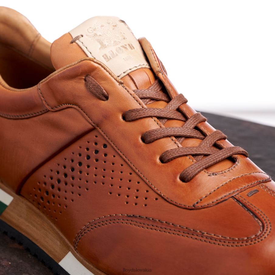LLOYD Walcott muži topánky hnedá 6R0JN180