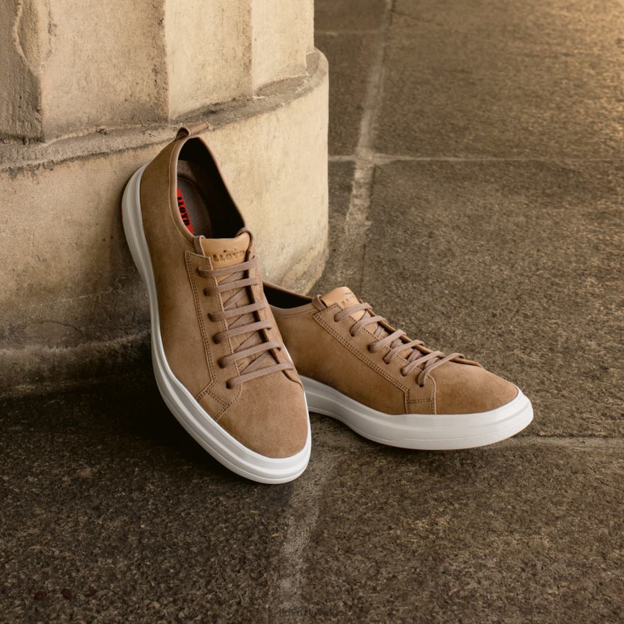 LLOYD aaro muži topánky hnedá 6R0JN421