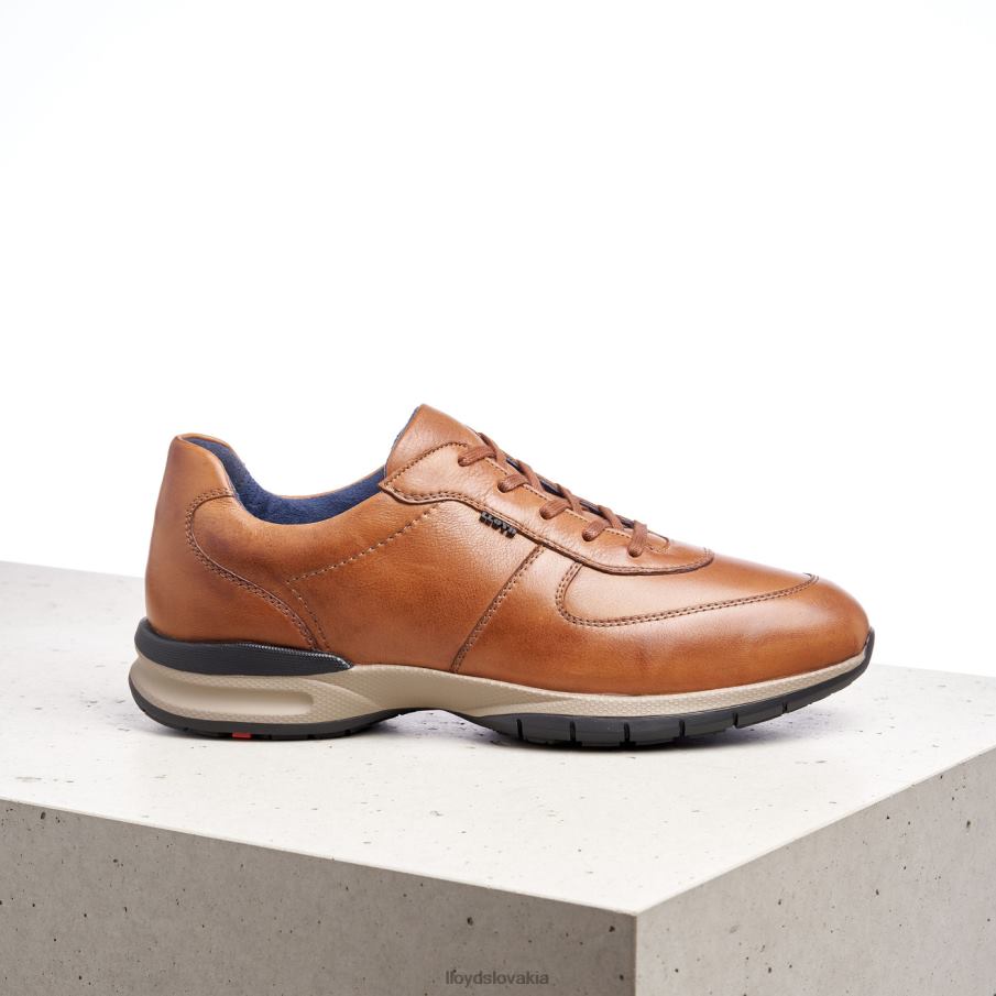 LLOYD aberdeen muži topánky hnedá 6R0JN392