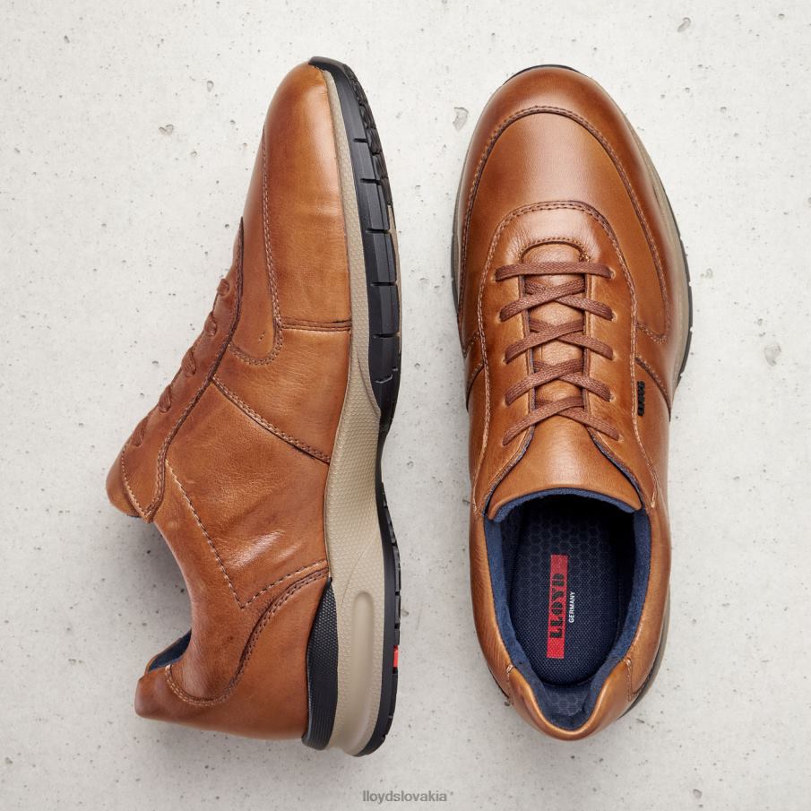 LLOYD aberdeen muži topánky hnedá 6R0JN392