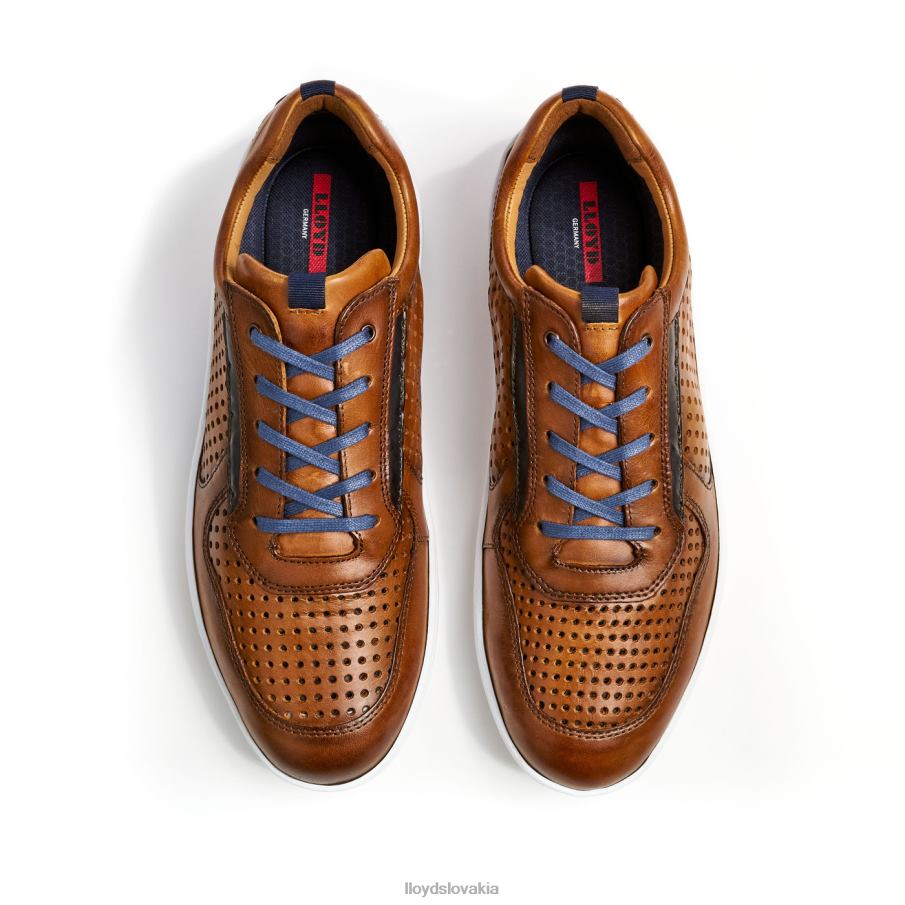 LLOYD abott muži topánky hnedá 6R0JN415