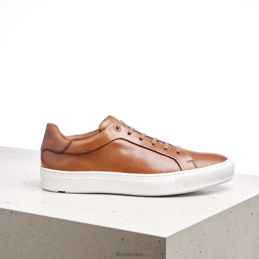 LLOYD ajan muži topánky hnedá 6R0JN391