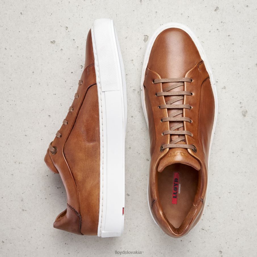 LLOYD ajan muži topánky hnedá 6R0JN391