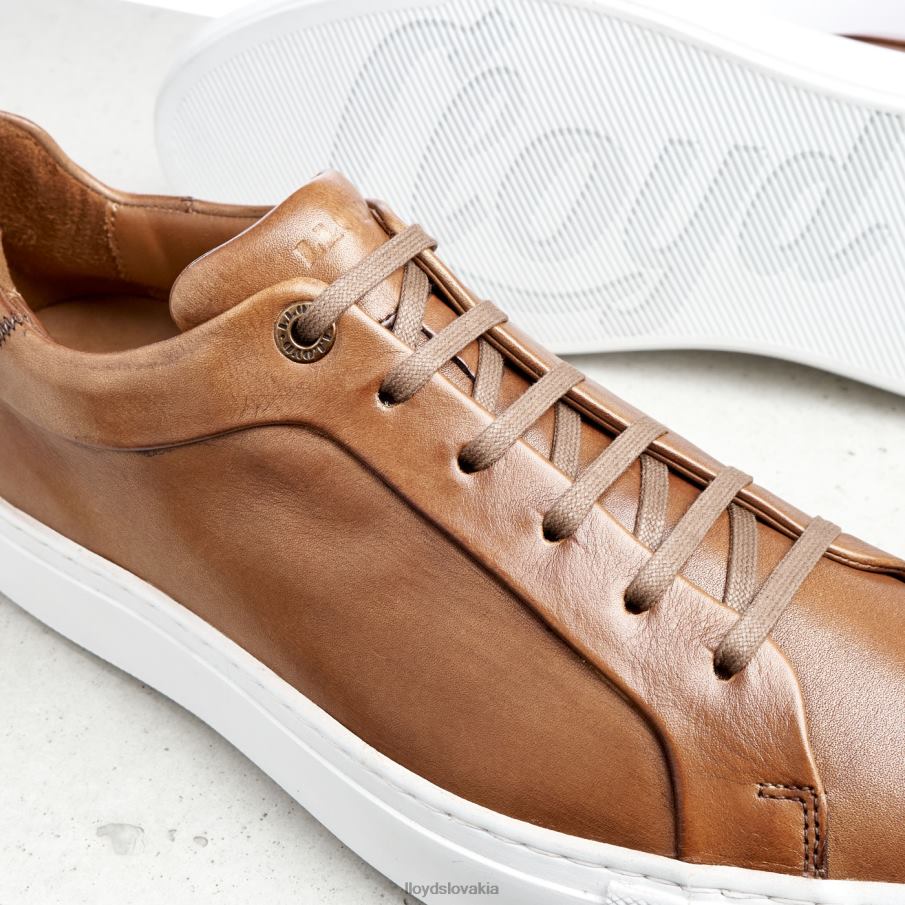 LLOYD ajan muži topánky hnedá 6R0JN391