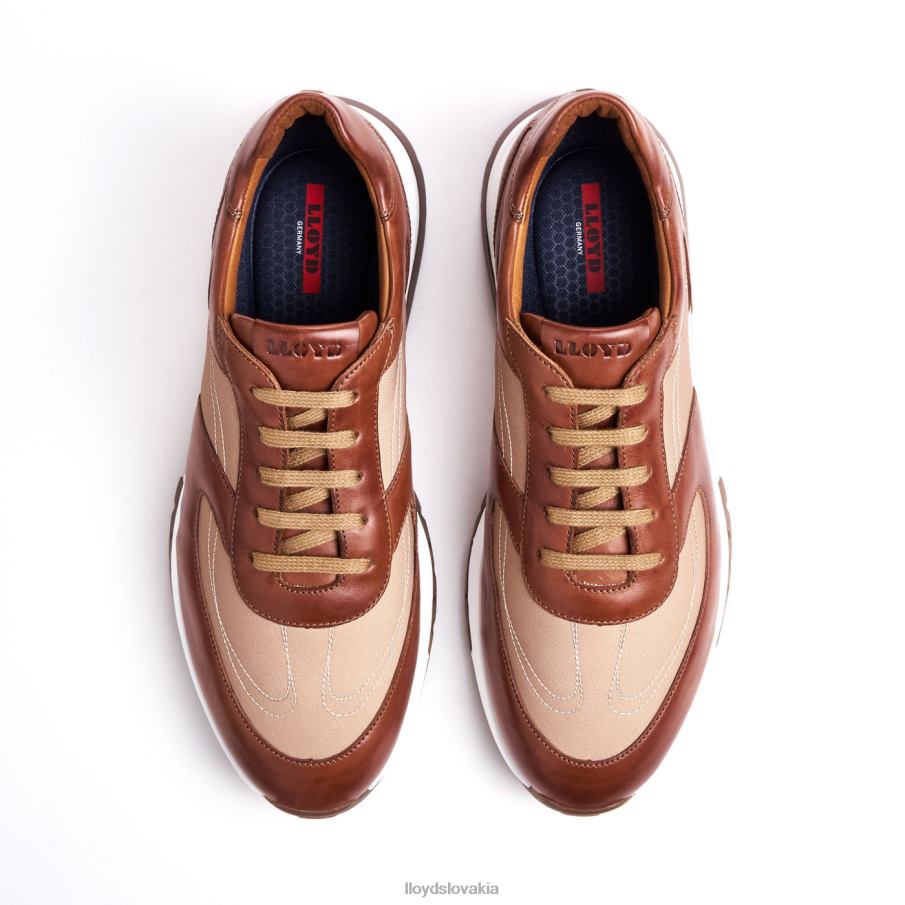 LLOYD albany muži topánky hnedá 6R0JN1337