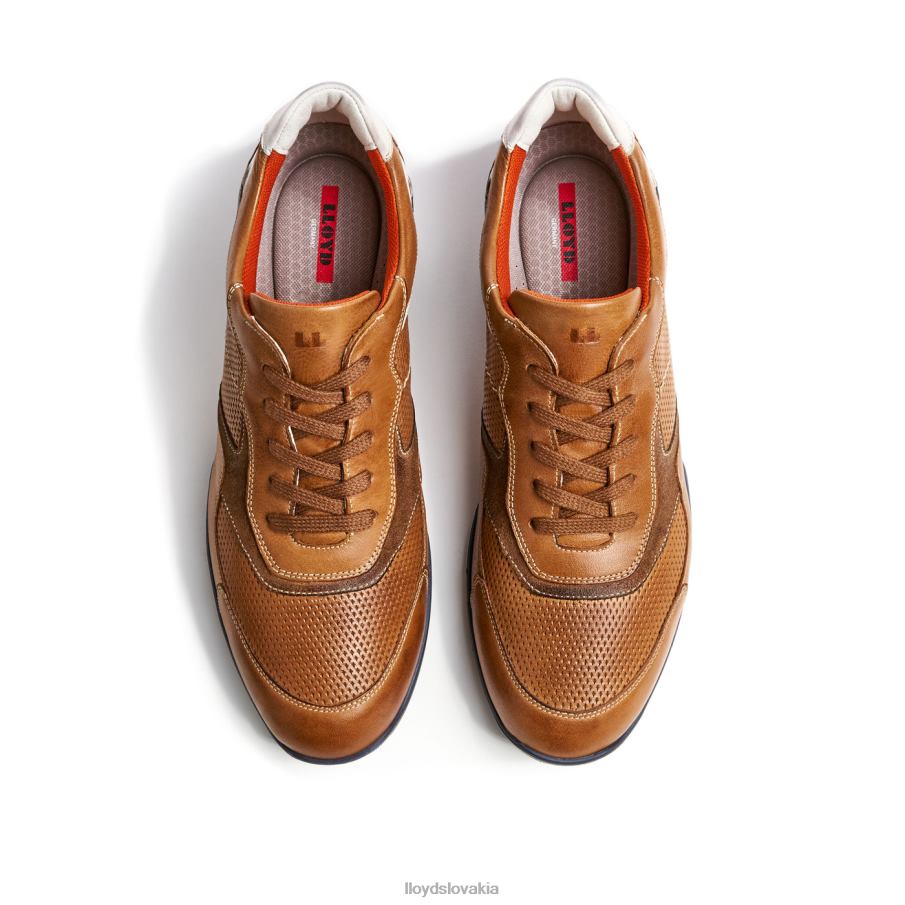 LLOYD baltimore muži topánky hnedá 6R0JN287