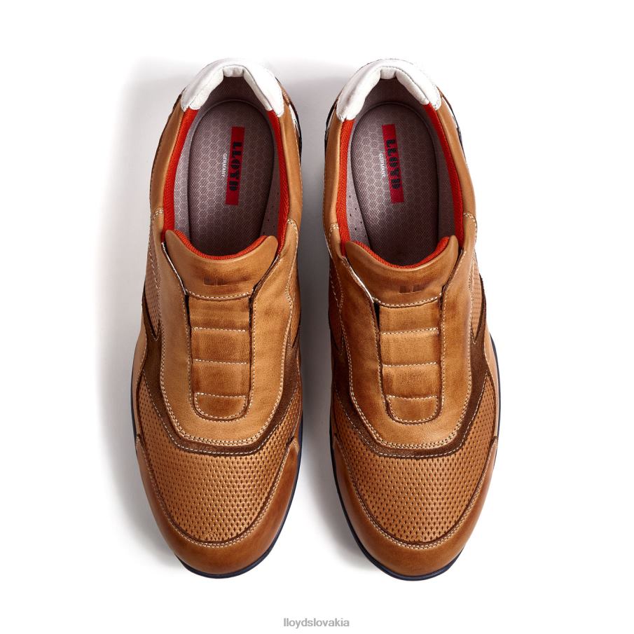 LLOYD banfield muži topánky hnedá 6R0JN347