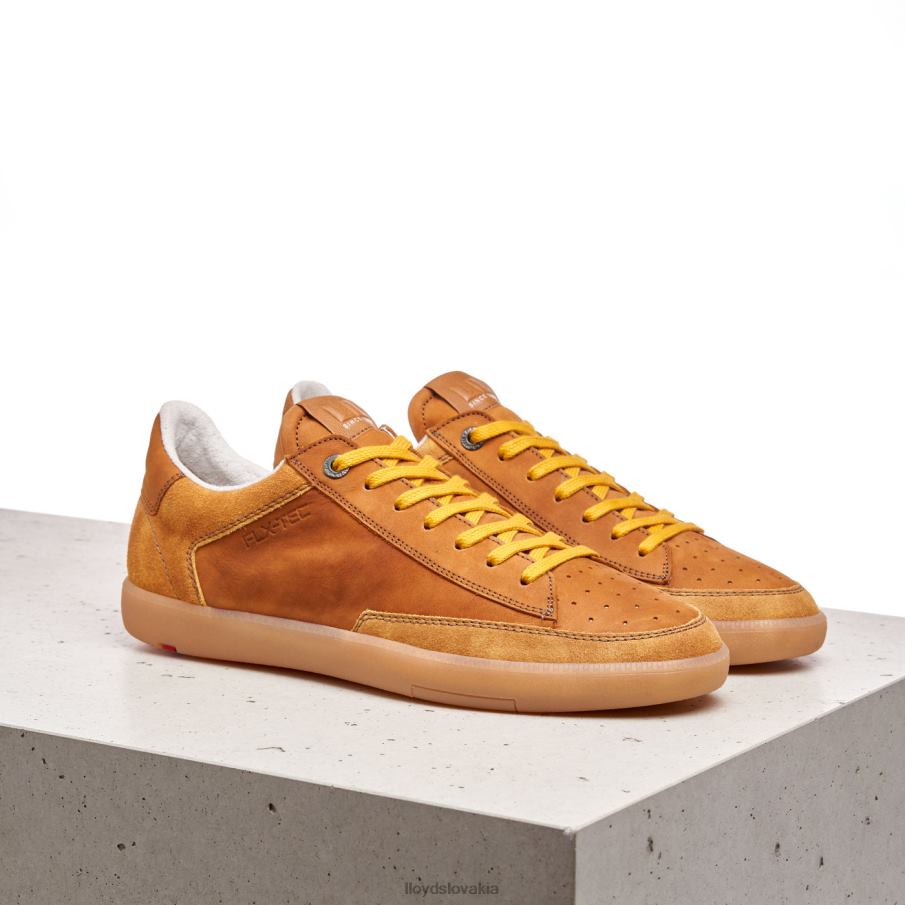 LLOYD barón muži topánky hnedá 6R0JN427