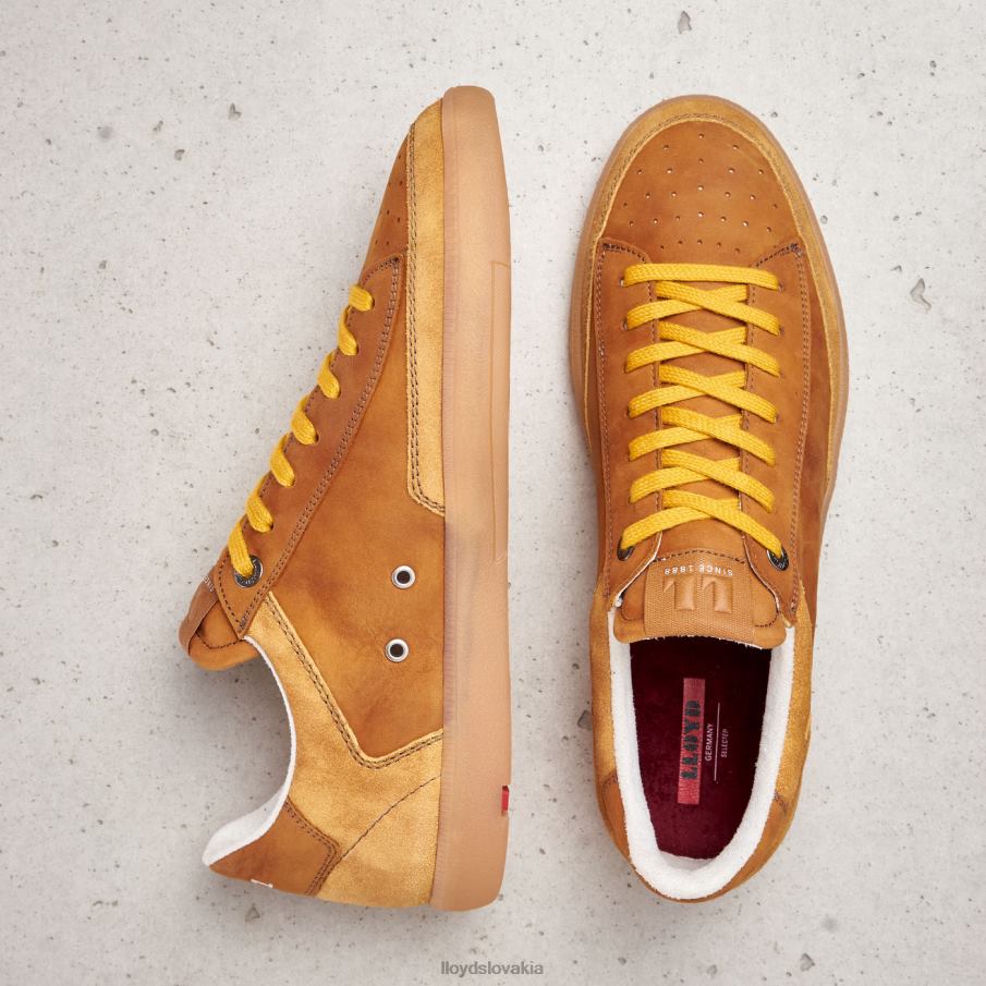 LLOYD barón muži topánky hnedá 6R0JN427