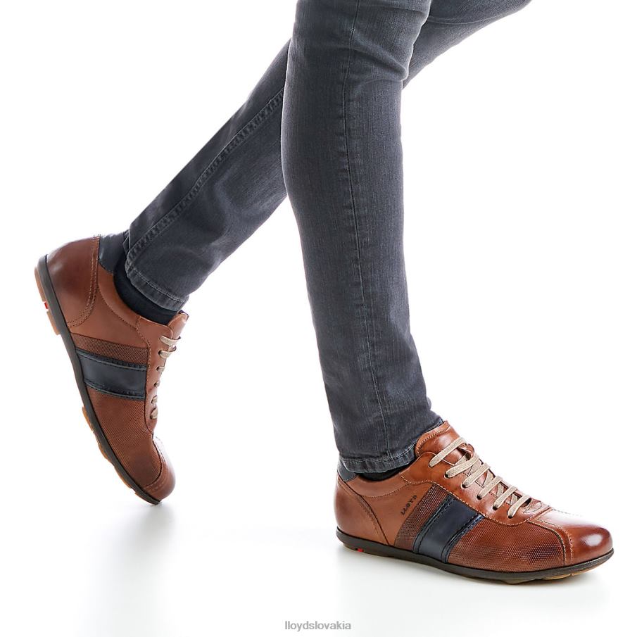 LLOYD barett muži topánky hnedá 6R0JN354