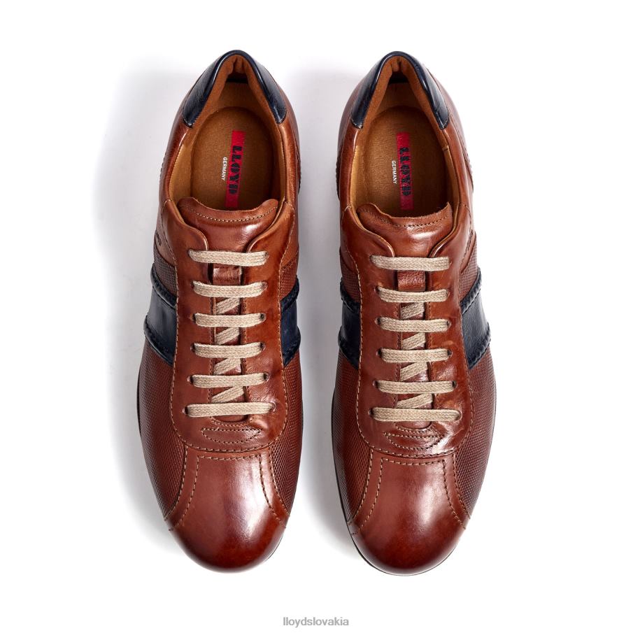 LLOYD barett muži topánky hnedá 6R0JN354