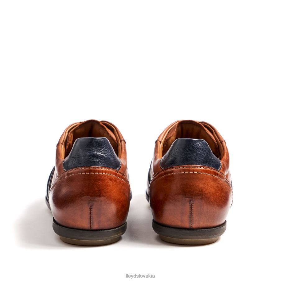 LLOYD barett muži topánky hnedá 6R0JN354