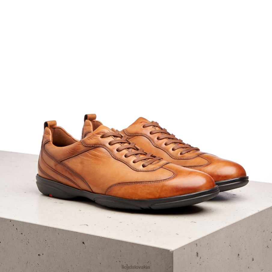 LLOYD bern muži topánky hnedá 6R0JN436