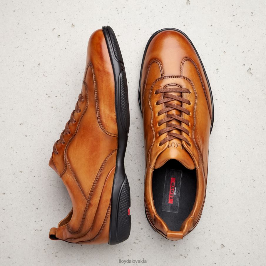 LLOYD bern muži topánky hnedá 6R0JN436