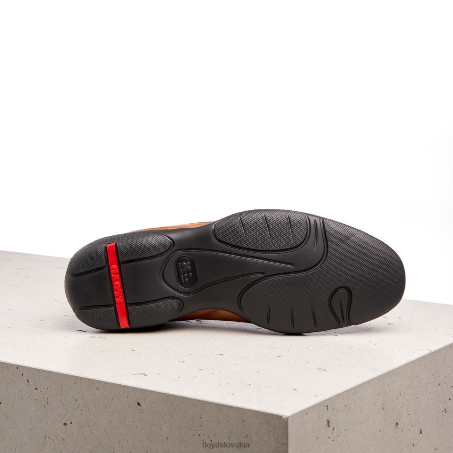 LLOYD bern muži topánky hnedá 6R0JN436