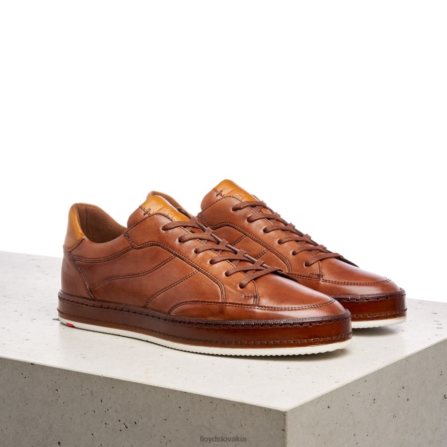 LLOYD blackburn muži topánky hnedá 6R0JN440