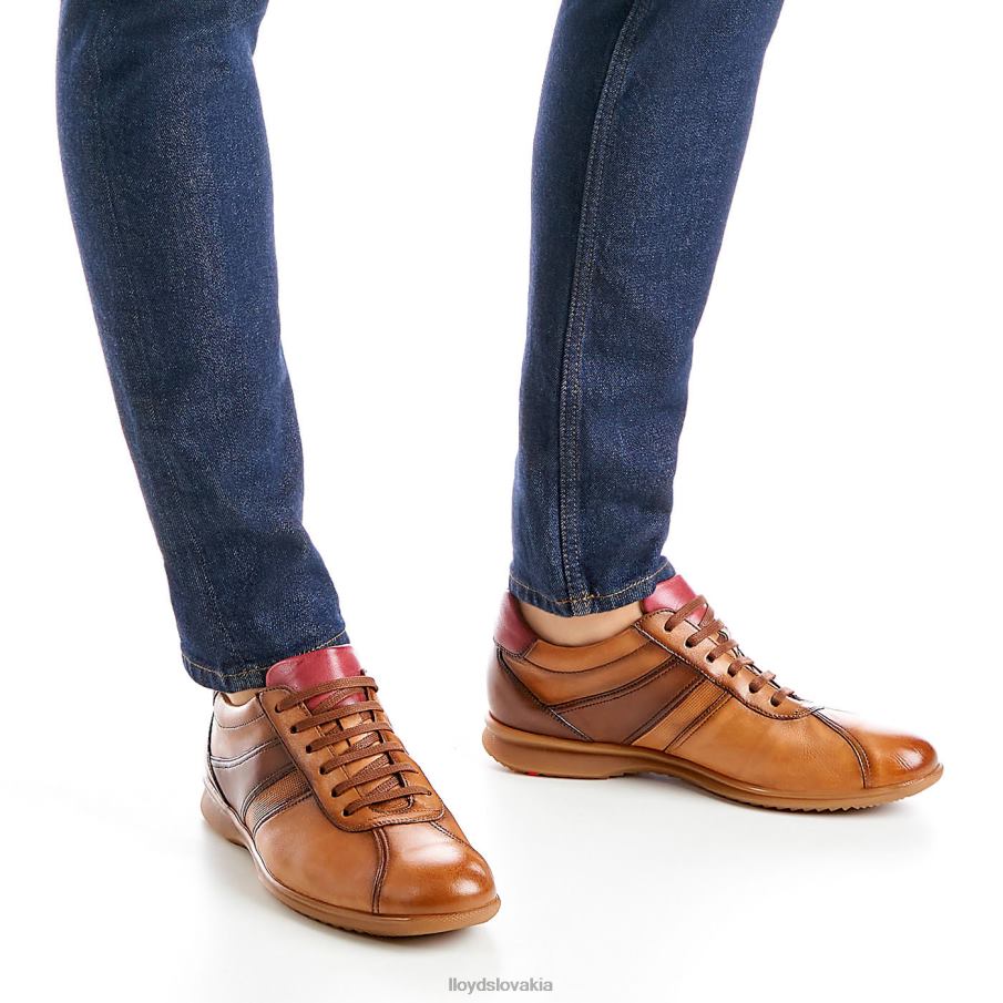 LLOYD davos muži topánky hnedá 6R0JN308