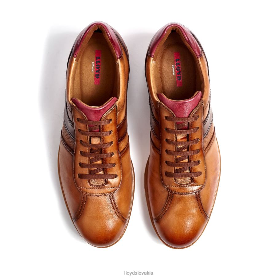 LLOYD davos muži topánky hnedá 6R0JN308