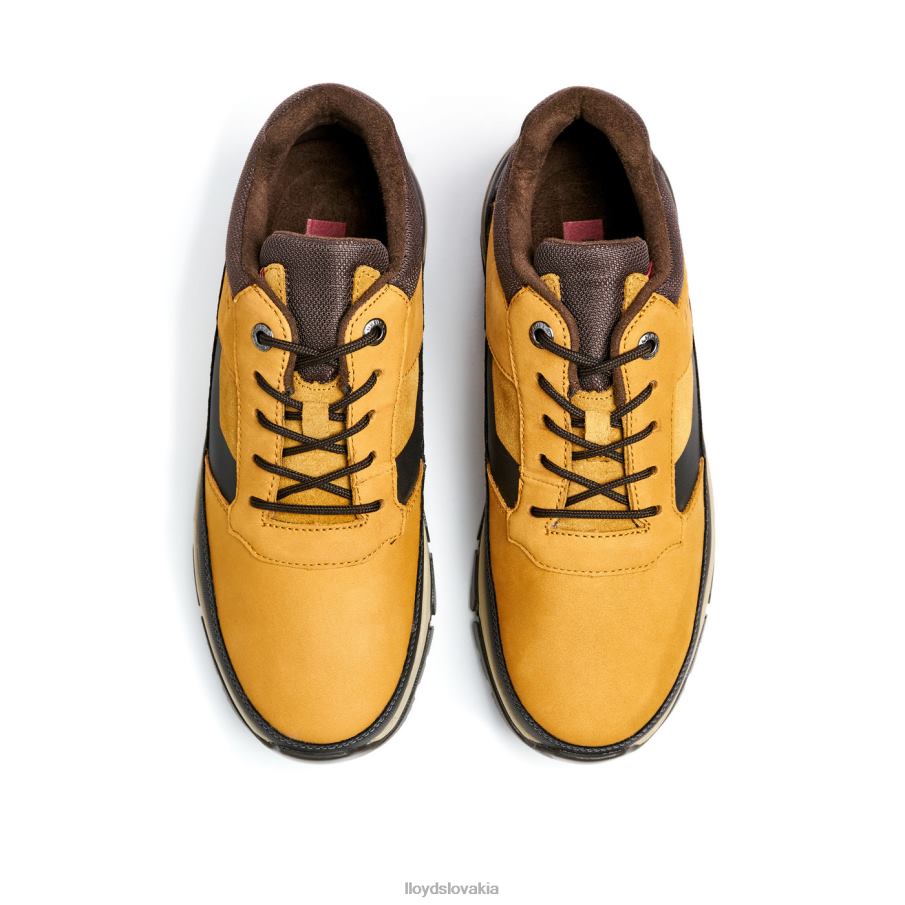 LLOYD ebe muži topánky hnedá 6R0JN295