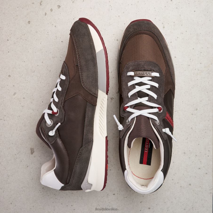 LLOYD egídio muži topánky hnedá 6R0JN432