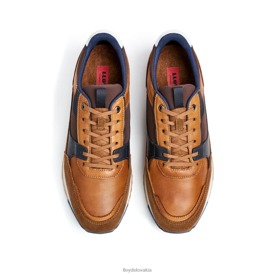 LLOYD eiron muži topánky hnedá 6R0JN293