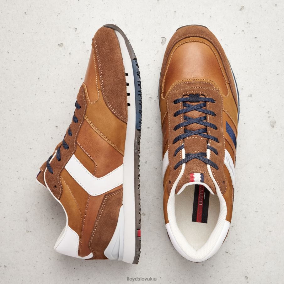 LLOYD elio muži topánky hnedá 6R0JN381