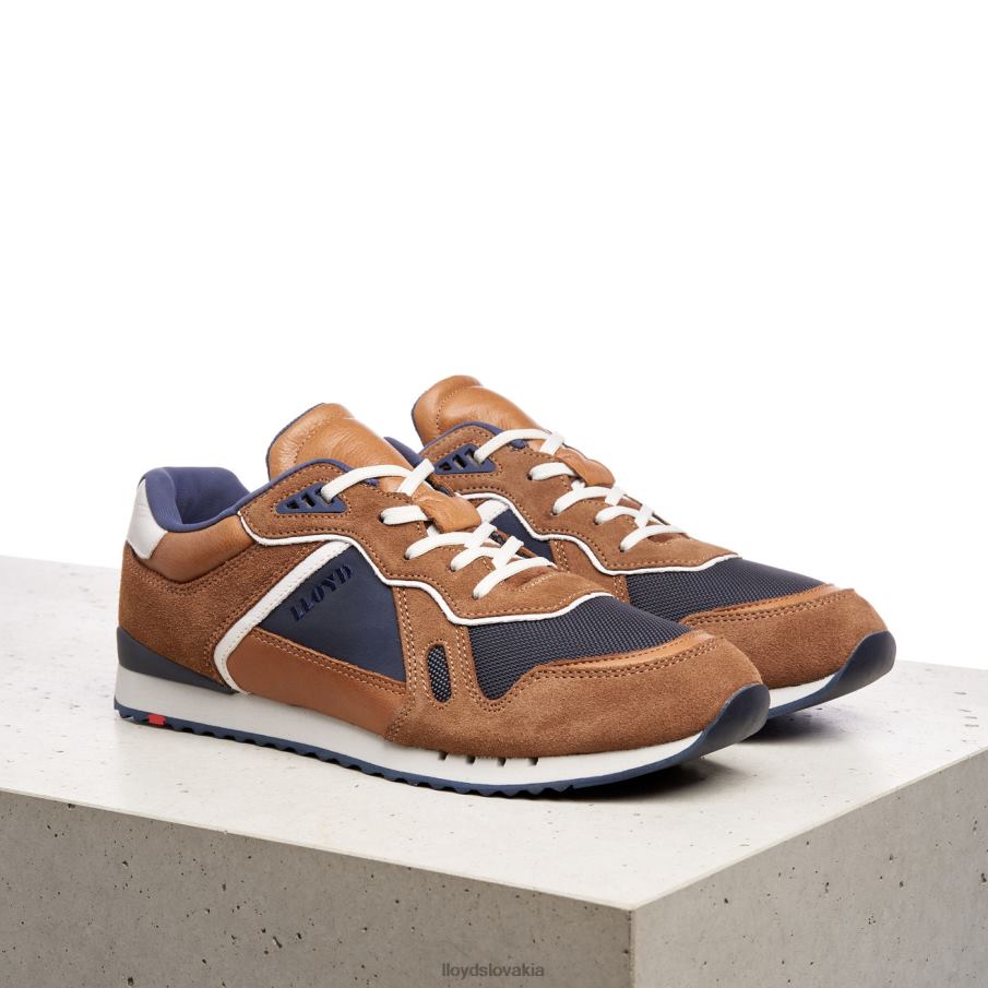 LLOYD elja muži topánky hnedá 6R0JN373