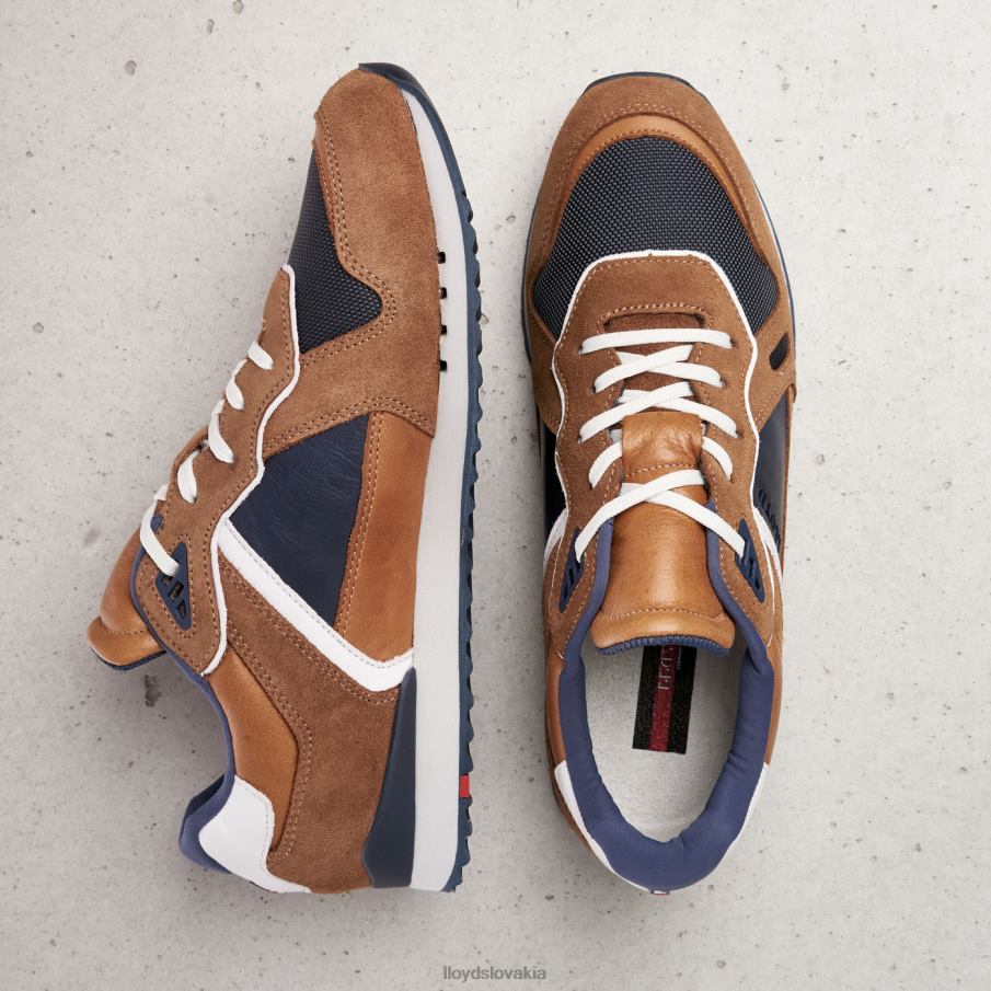 LLOYD elja muži topánky hnedá 6R0JN373