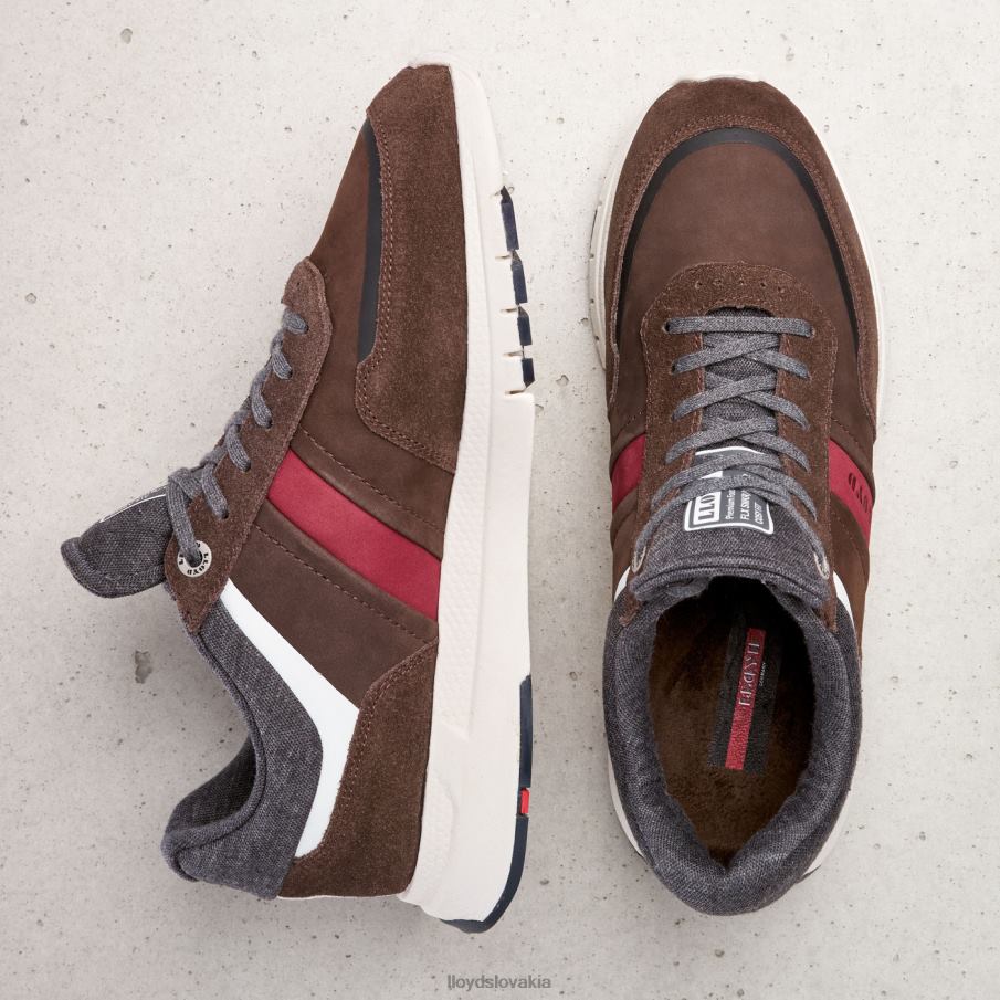 LLOYD ennio muži topánky hnedá 6R0JN352