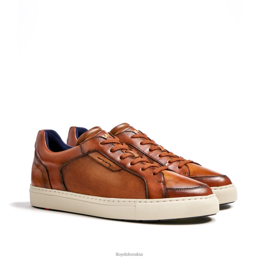 LLOYD malaga muži topánky hnedá 6R0JN1327