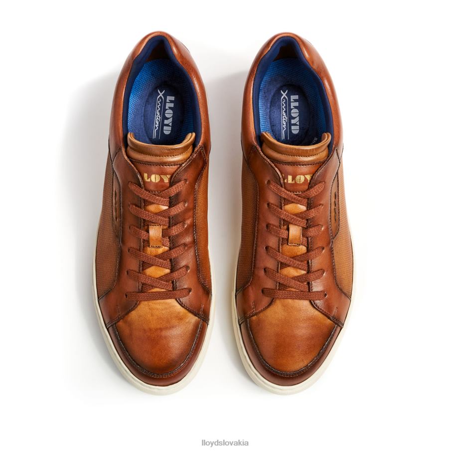 LLOYD malaga muži topánky hnedá 6R0JN1327