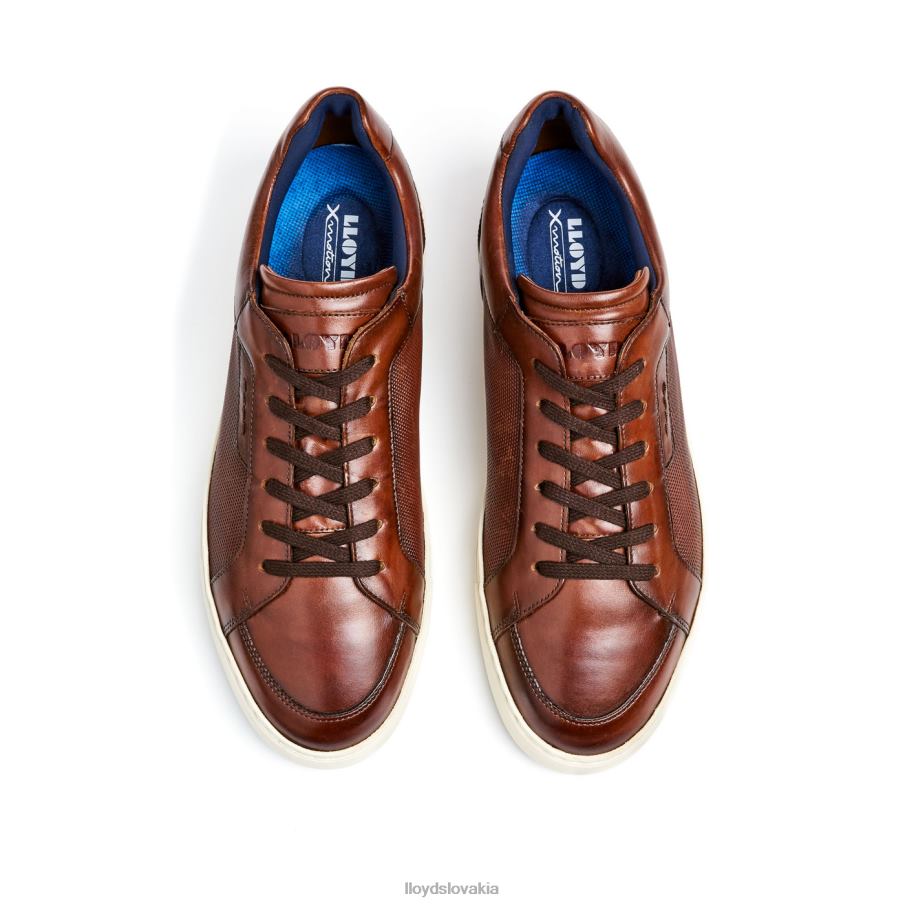 LLOYD malaga muži topánky hnedá 6R0JN249