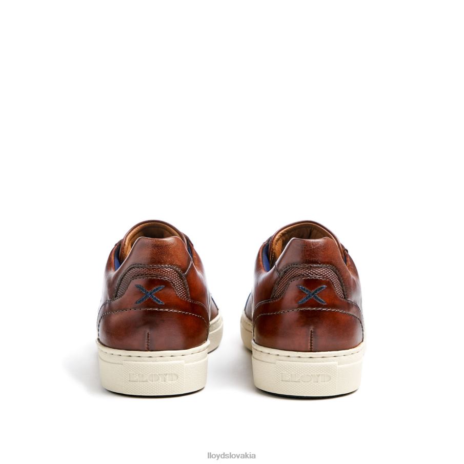 LLOYD malaga muži topánky hnedá 6R0JN249