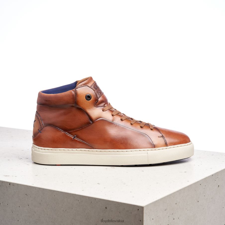 LLOYD maršal muži topánky hnedá 6R0JN254